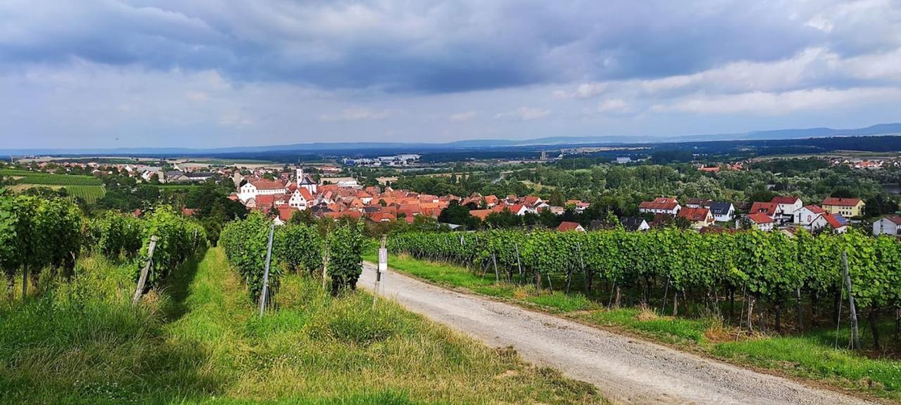 Ferienwohnung Fackelmann Dettelbach Bagian luar foto